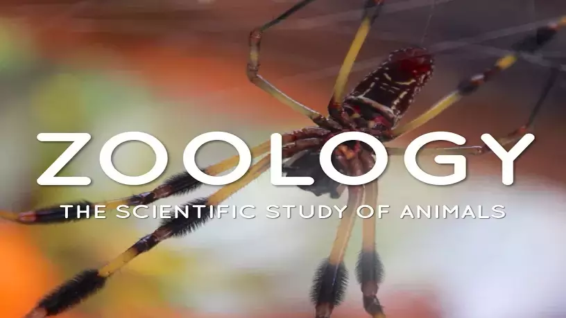  Best Biology Coaching Classes in  Raigarh